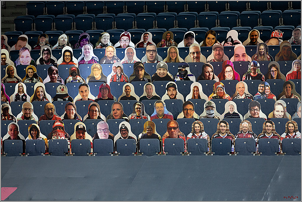 PENNY DEL;  Koelner Haie - Fischtown Pinguins Bremerhaven; Koeln, 12.02.2021